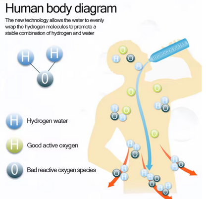 Hydrogen Water Bottle